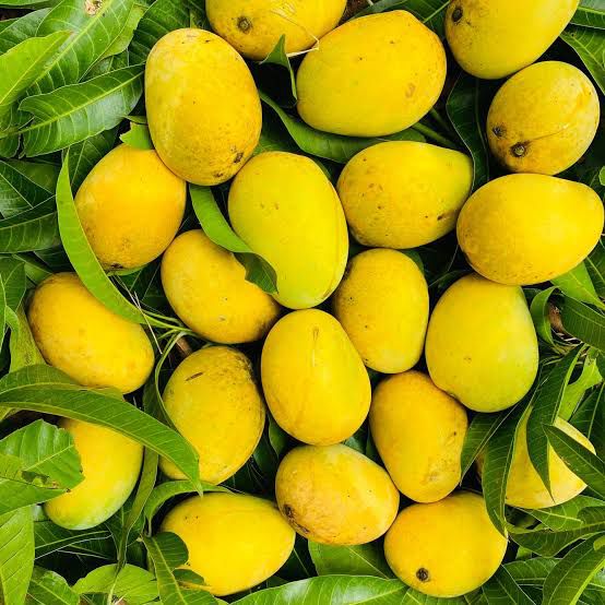 Nuziveedu Chinna Rasalu (Small) - Authentic Andhra Juicy Mango