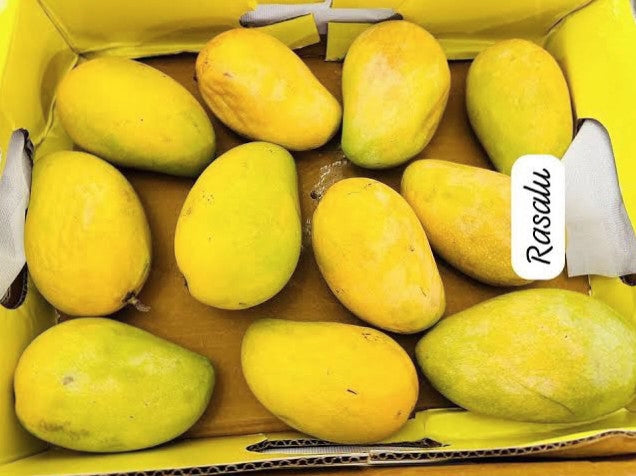 Nuziveedu Cheruku Rasalu – Sugarcane Sweet Mango
